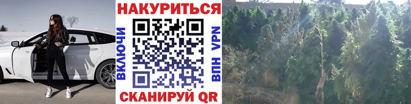Где купить Ардон Альфа ПВП АМФ Каннабис